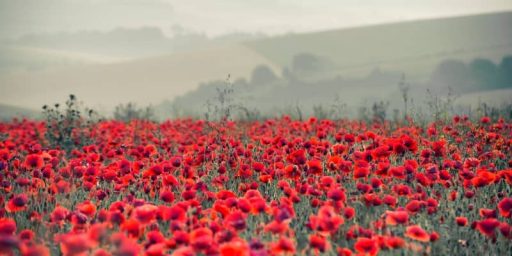 Poppies-Parades-Parish-Pride