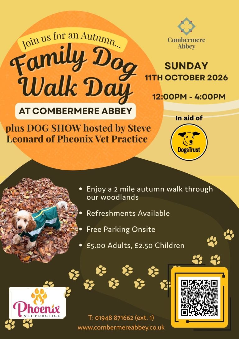 Autumn Family Dog Walk at Combermere Abbey