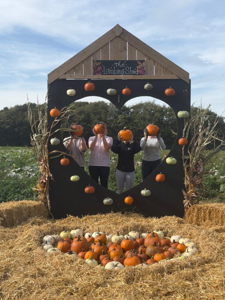 Pumpkin Picking At The Lambing Shed